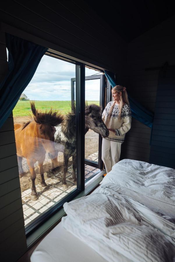 Apartmán Sleeping With The Horses Hvolsvöllur Exteriér fotografie