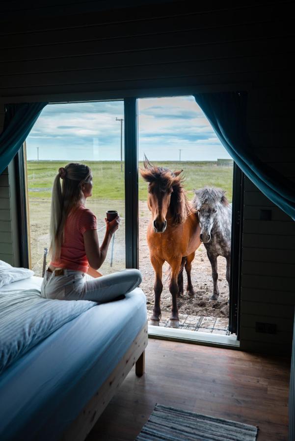 Apartmán Sleeping With The Horses Hvolsvöllur Exteriér fotografie