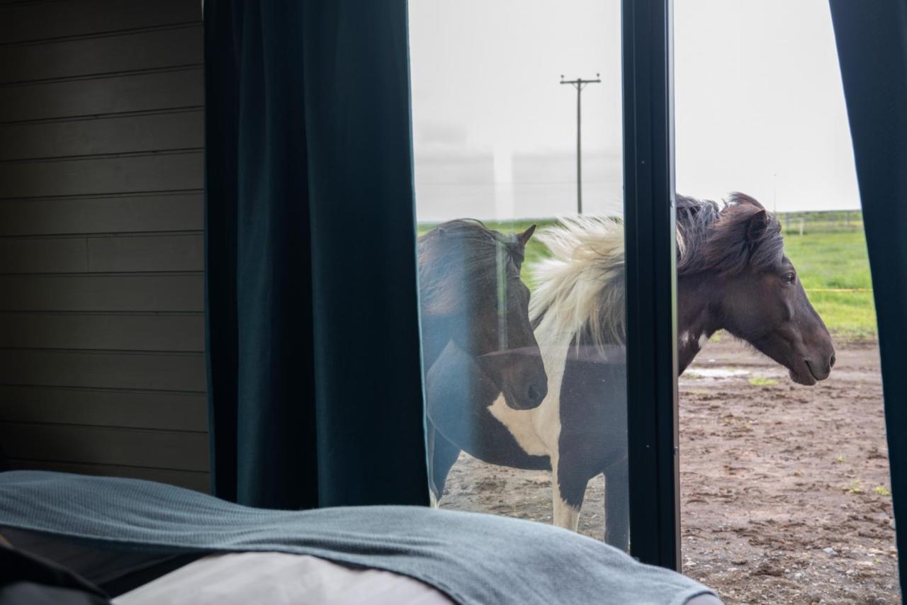 Apartmán Sleeping With The Horses Hvolsvöllur Exteriér fotografie