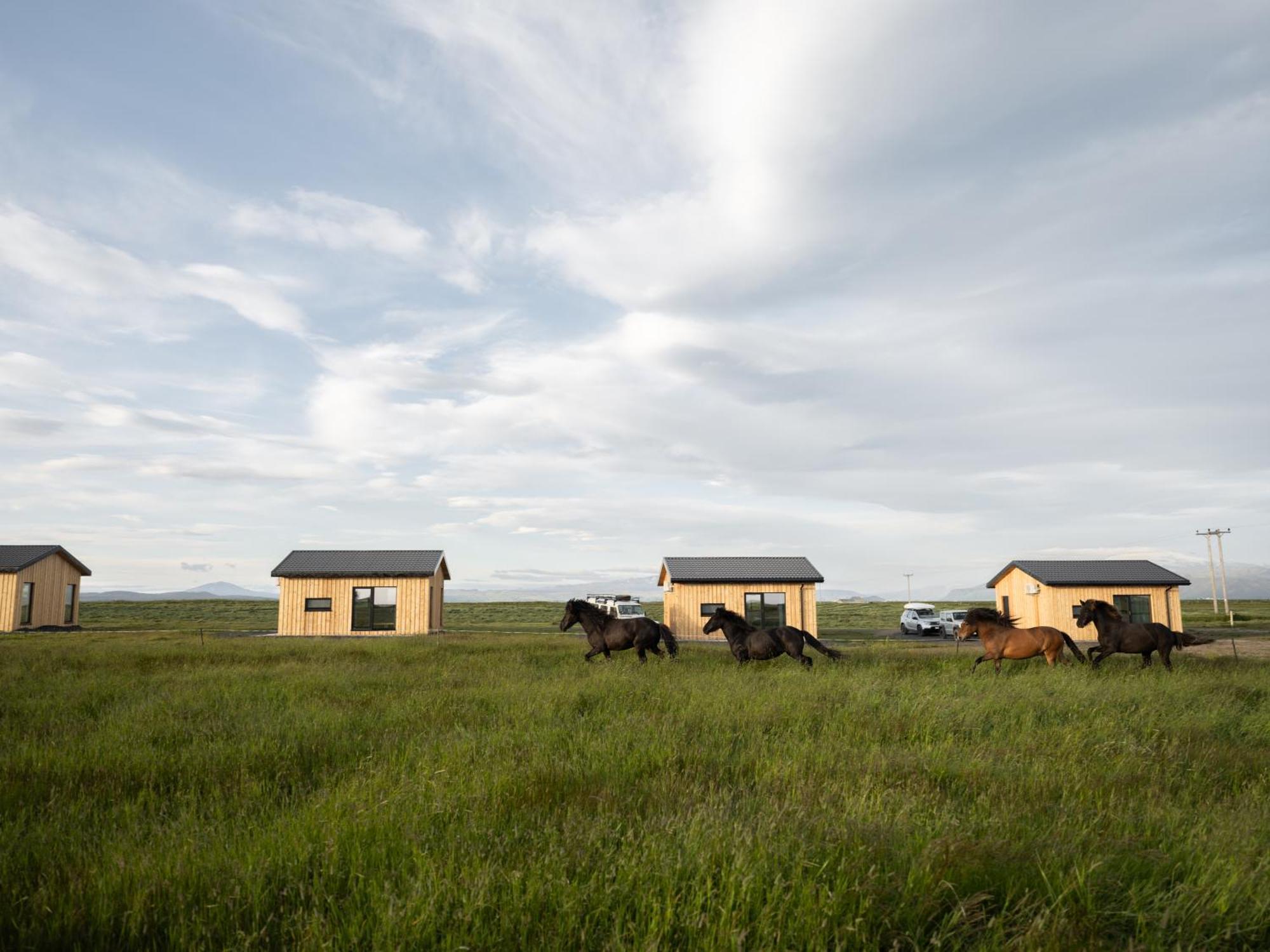 Apartmán Sleeping With The Horses Hvolsvöllur Exteriér fotografie