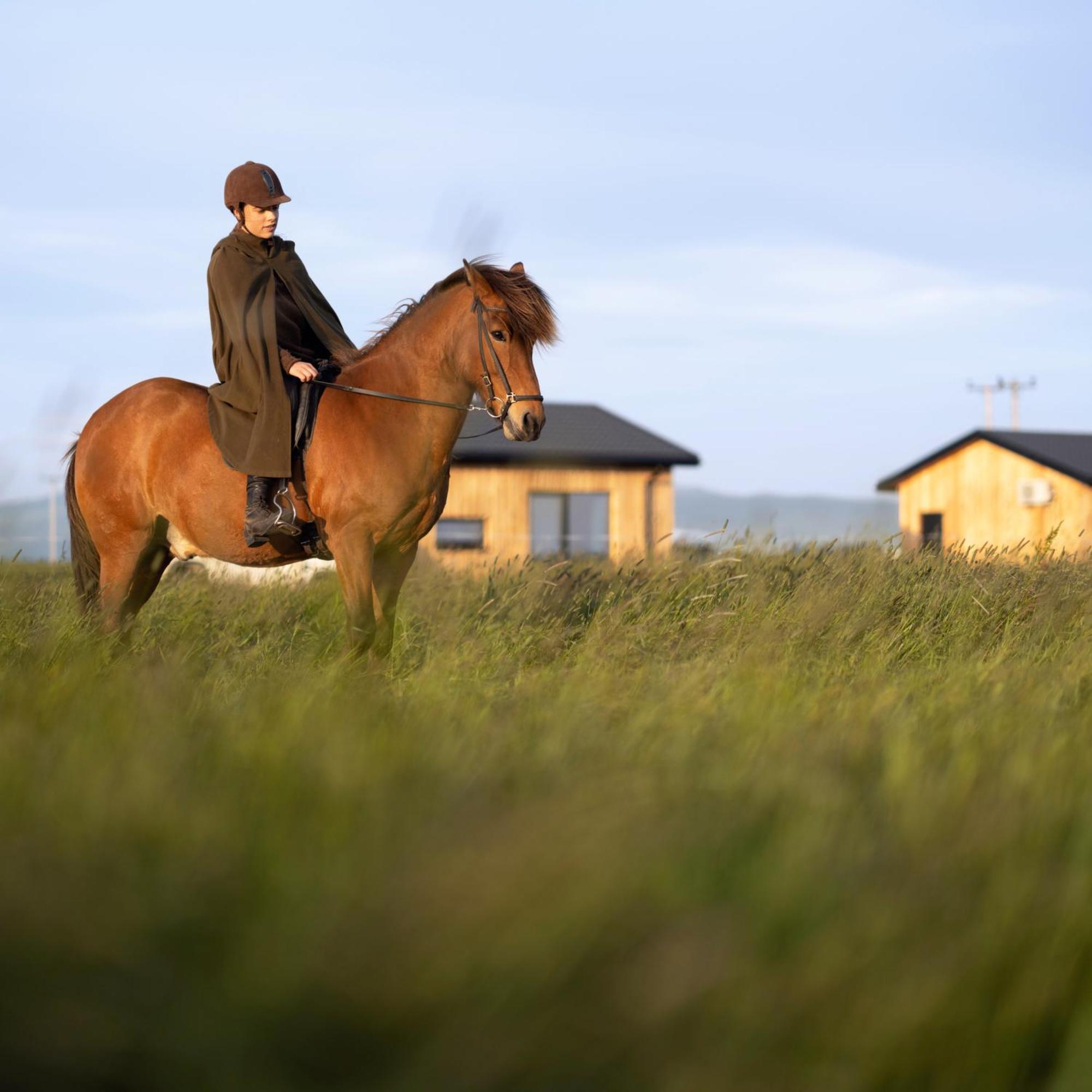 Apartmán Sleeping With The Horses Hvolsvöllur Exteriér fotografie