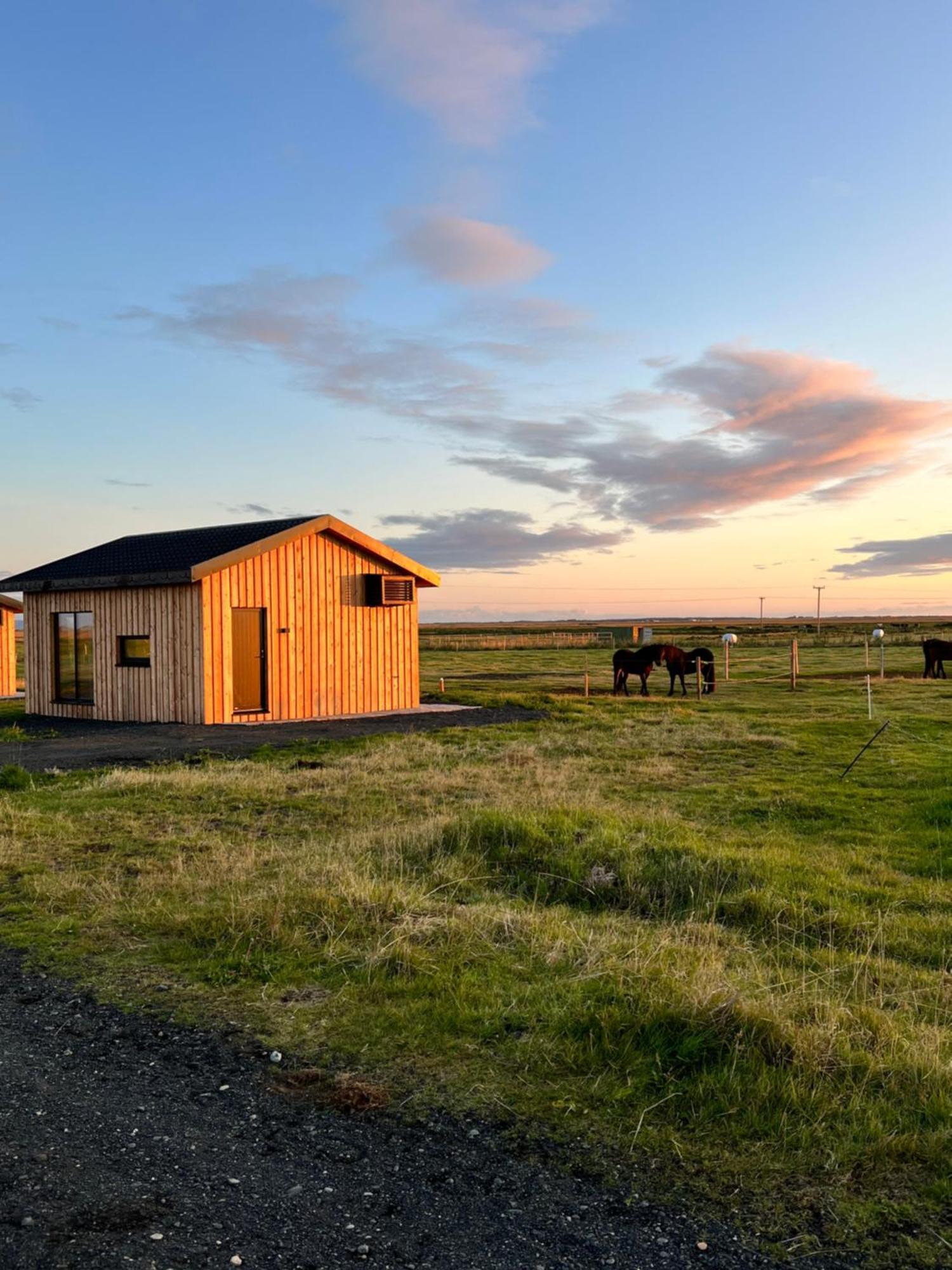 Apartmán Sleeping With The Horses Hvolsvöllur Exteriér fotografie